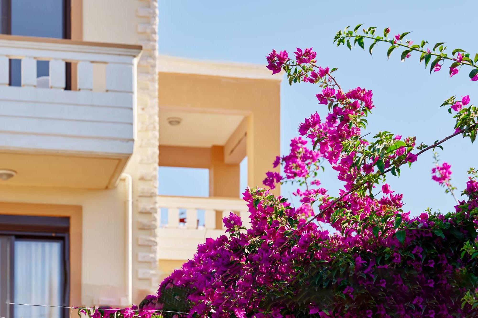Villa Gereoudis Seaview Apartments-Pool & Bar Kolimvari Zewnętrze zdjęcie